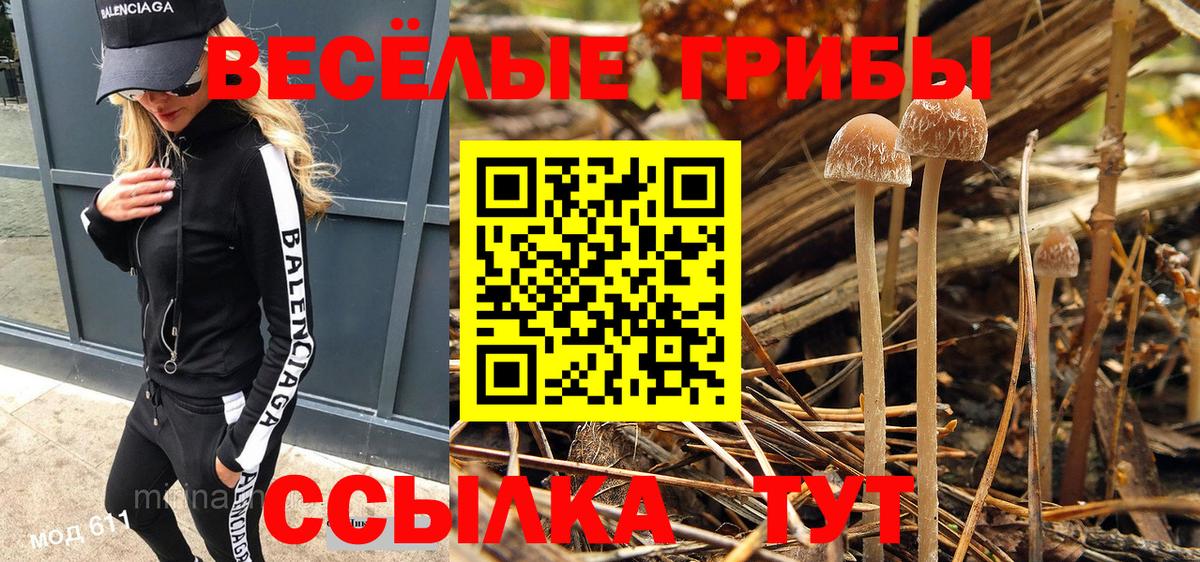 Кизилюрт  Псилоцибиновые грибы Psilocybe  Галлюциногенные грибы Psilocybe  Вход с VPN 